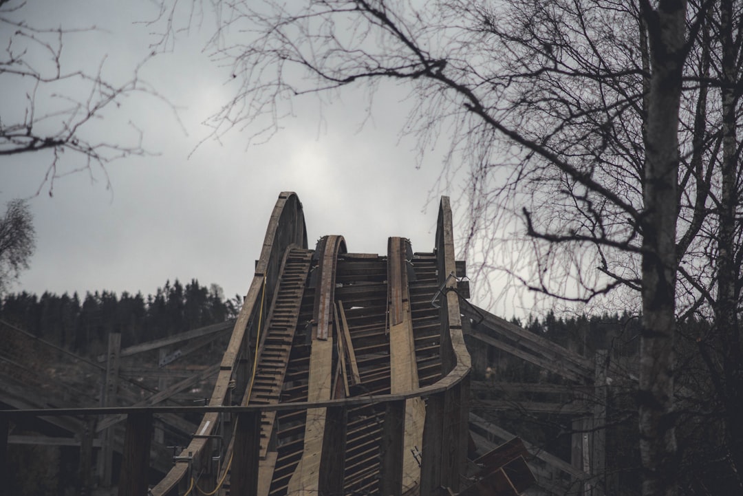 types of roller coasters - brown wooden foot bridge