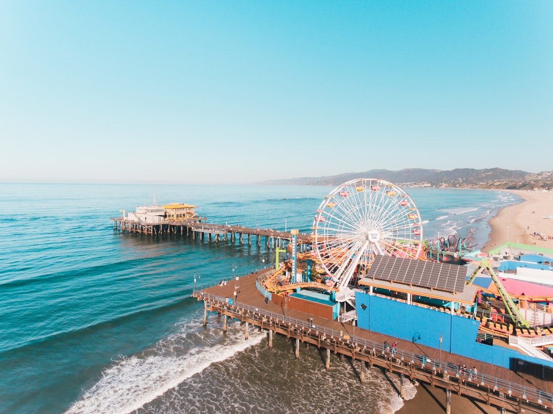 fastest roller coasters in the world - Ferris Wheel near body of water