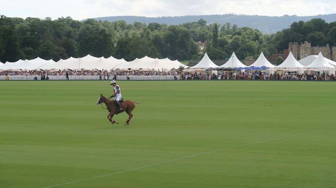 coachella festival tips - A polo player rides across a green field.
