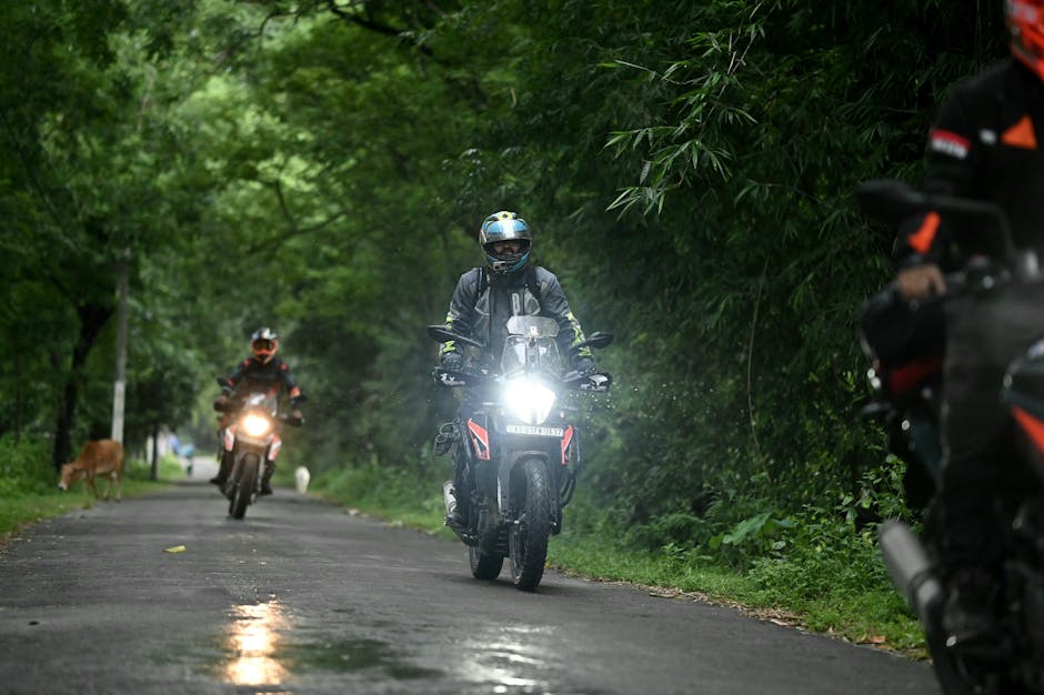 universal orlando attractions - Motorcyclists on a scenic forest road adventure, showcasing motorbike travel and exploration.