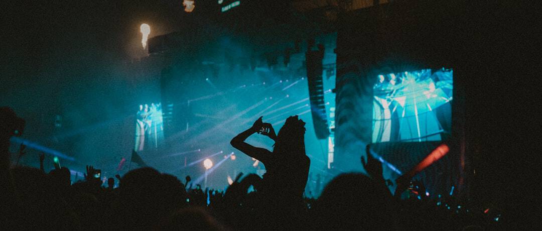 theme park news May 2026 - silhouette of people on concert
