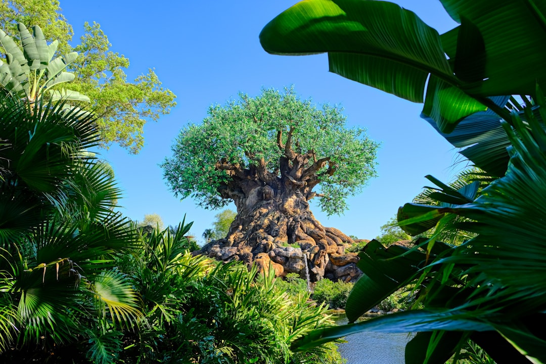 Disney's Animal Kingdom