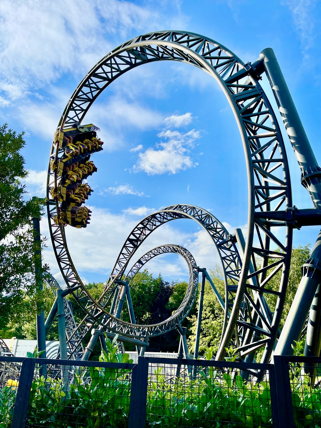 Flight of the Hippogriff