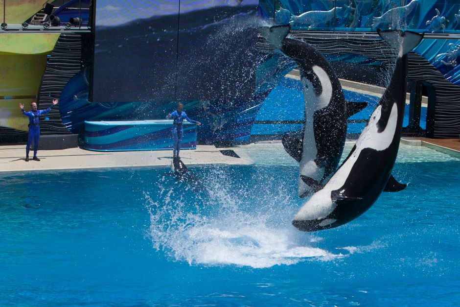 SeaWorld San Diego
