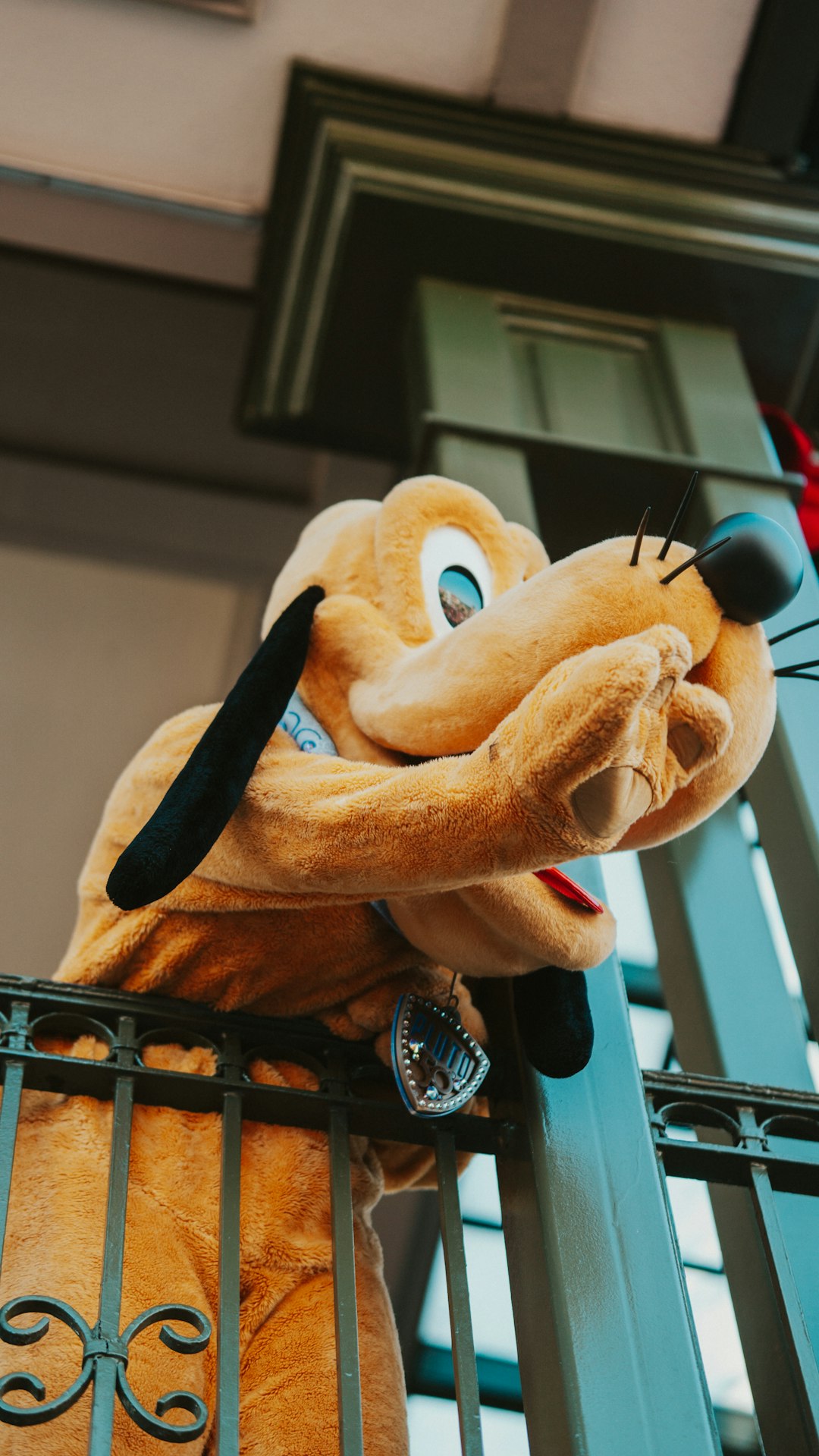 Slinky Dog Dash