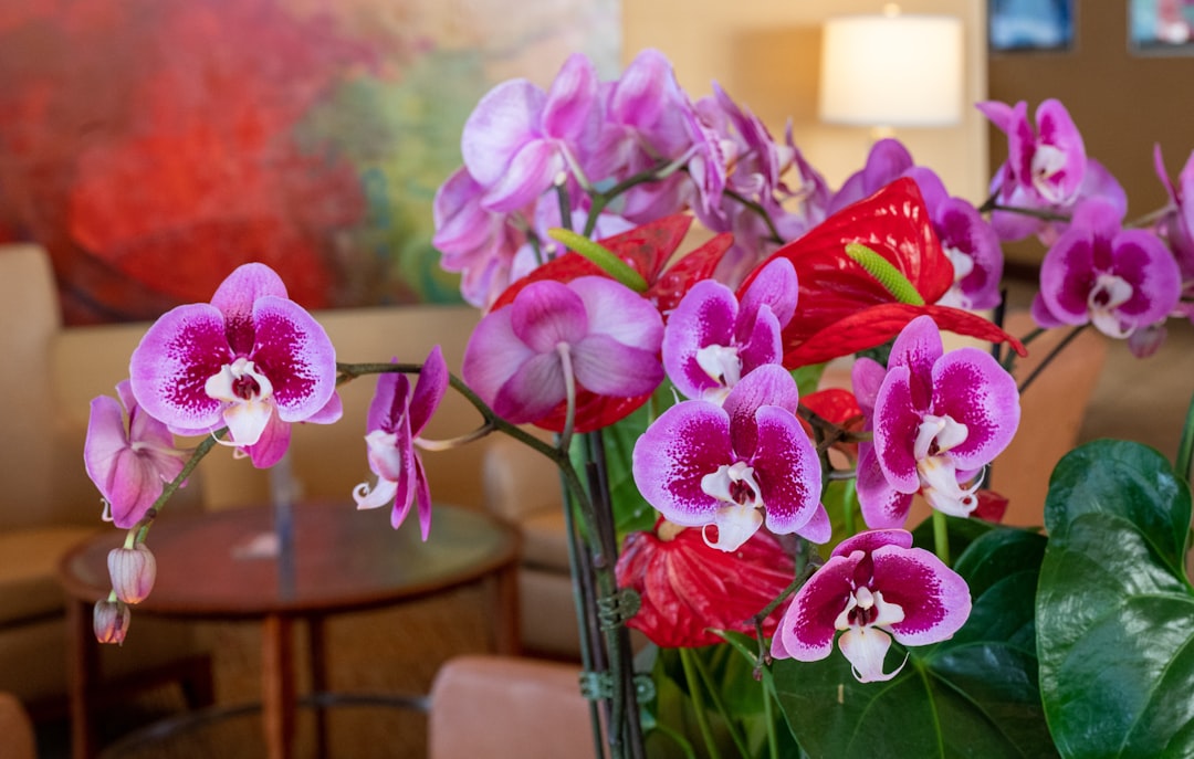 Tootsie's Orchid Lounge