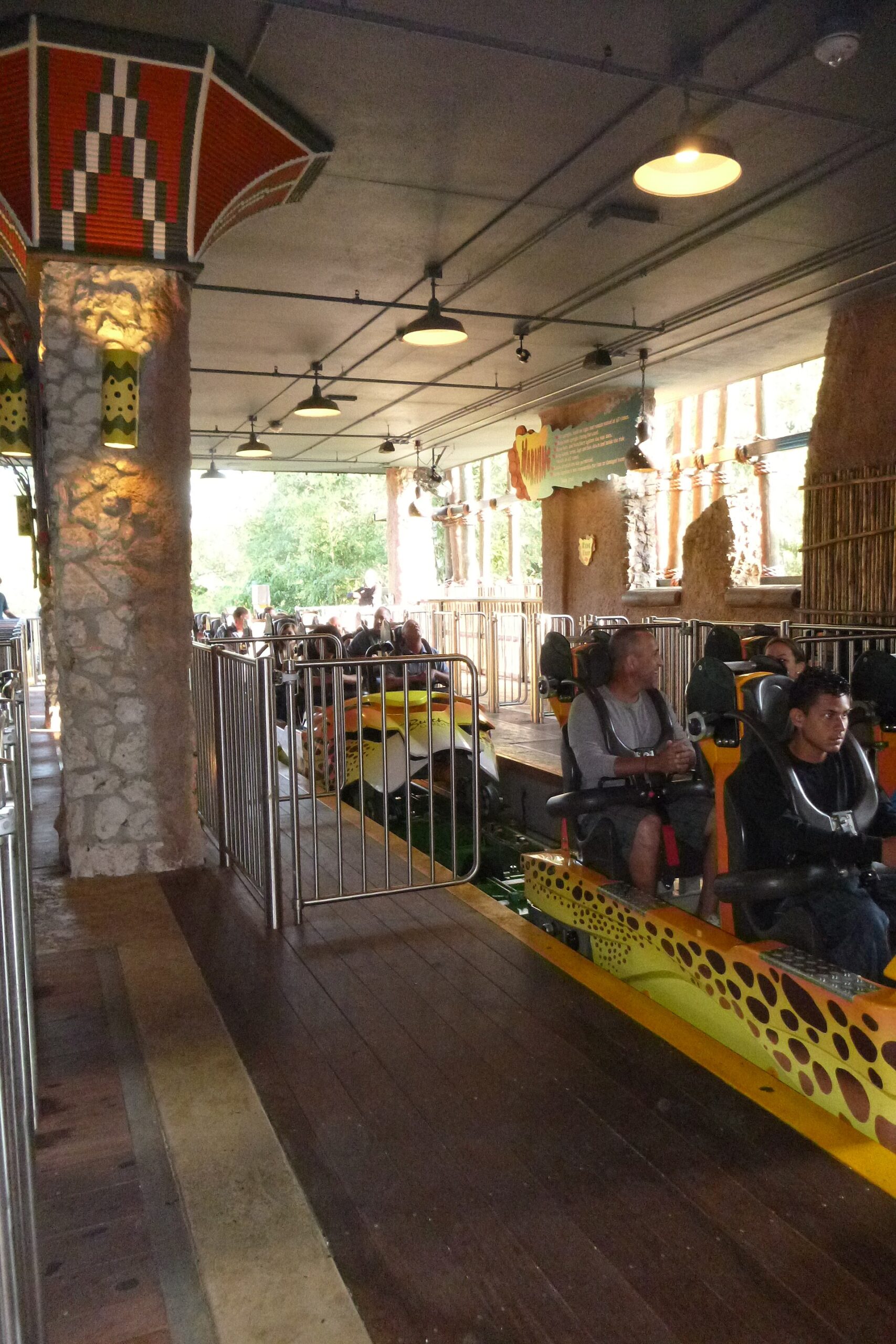 Cheetah Hunt