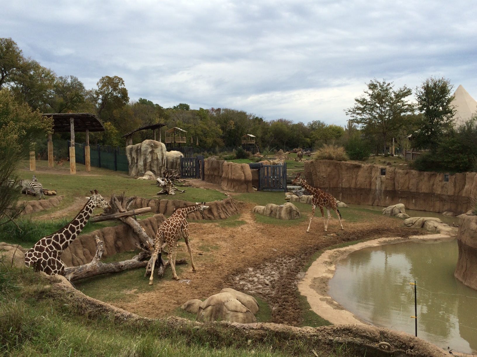 Dallas Zoo