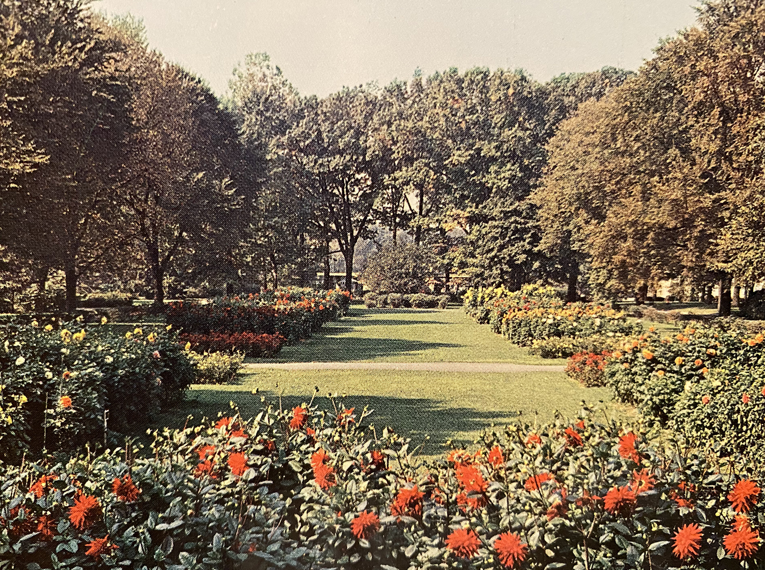Detroit Zoo