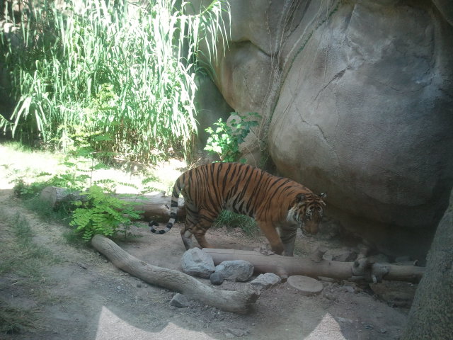 El Paso Zoo