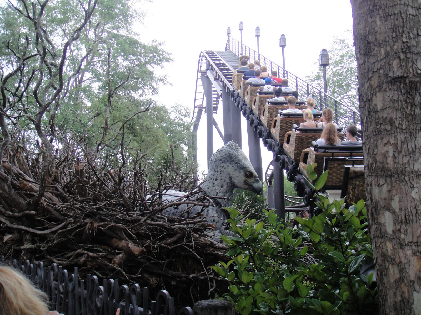 Flight of the Hippogriff