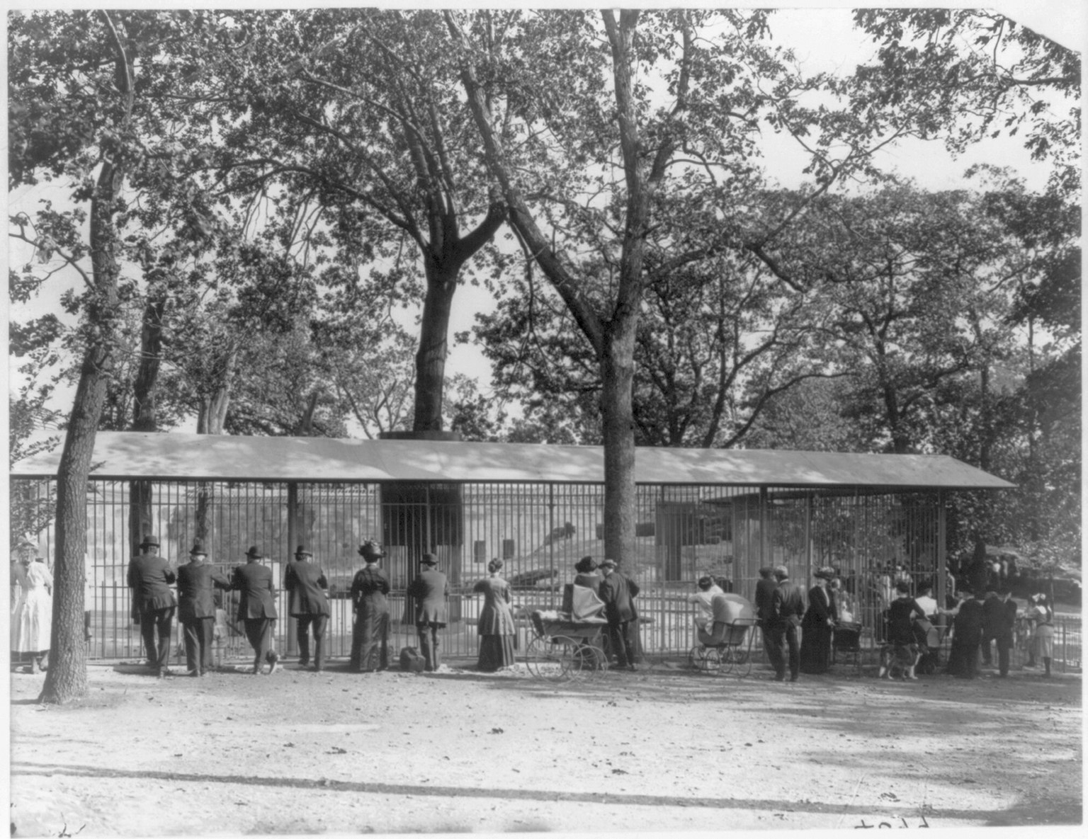 Franklin Park Zoo