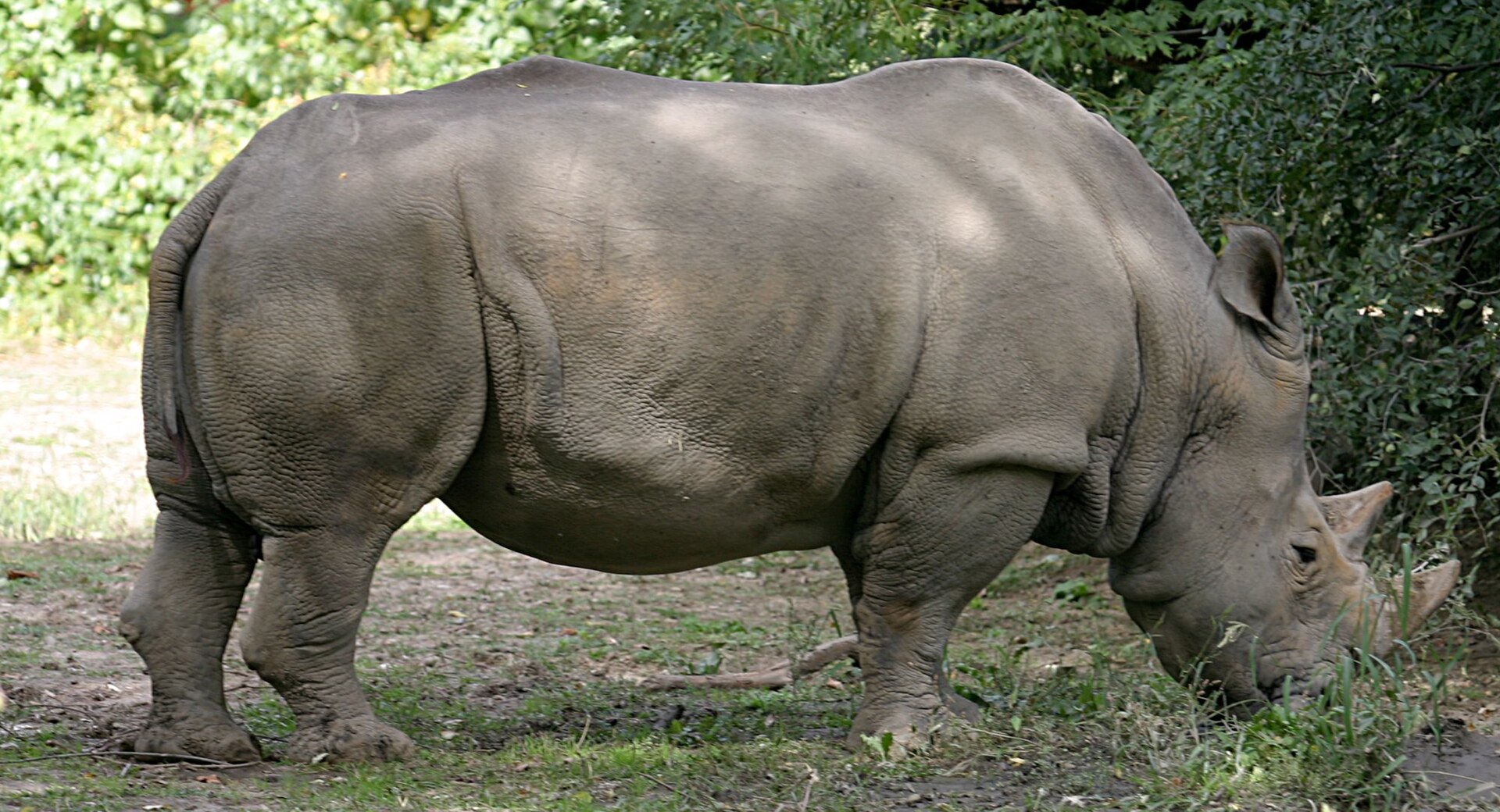 Henry Doorly Zoo