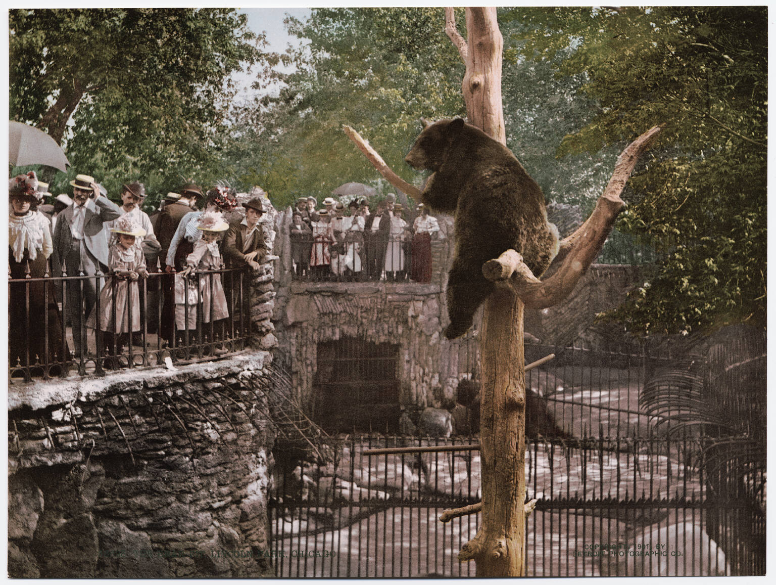Lincoln Park Zoo