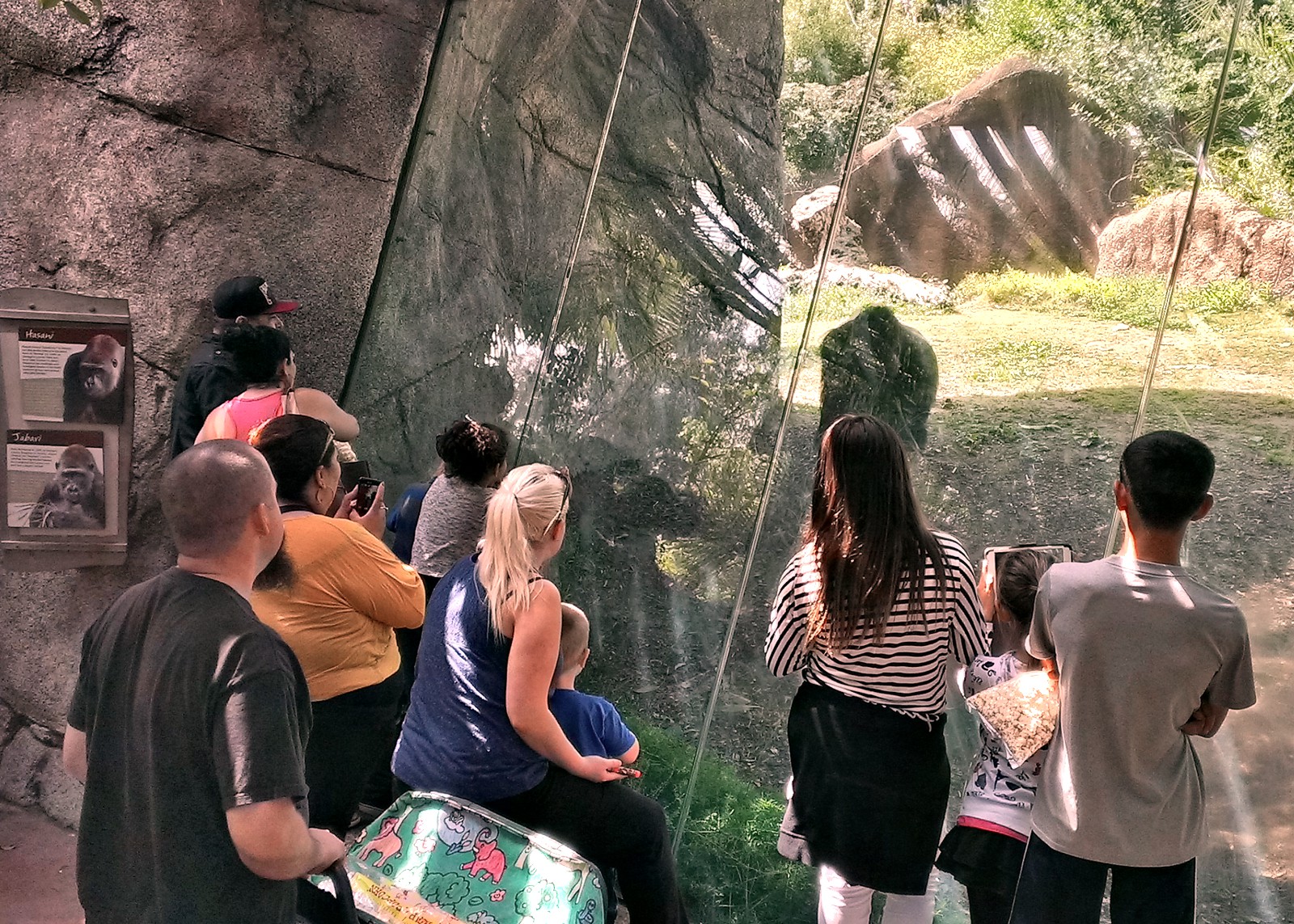 Los Angeles Zoo