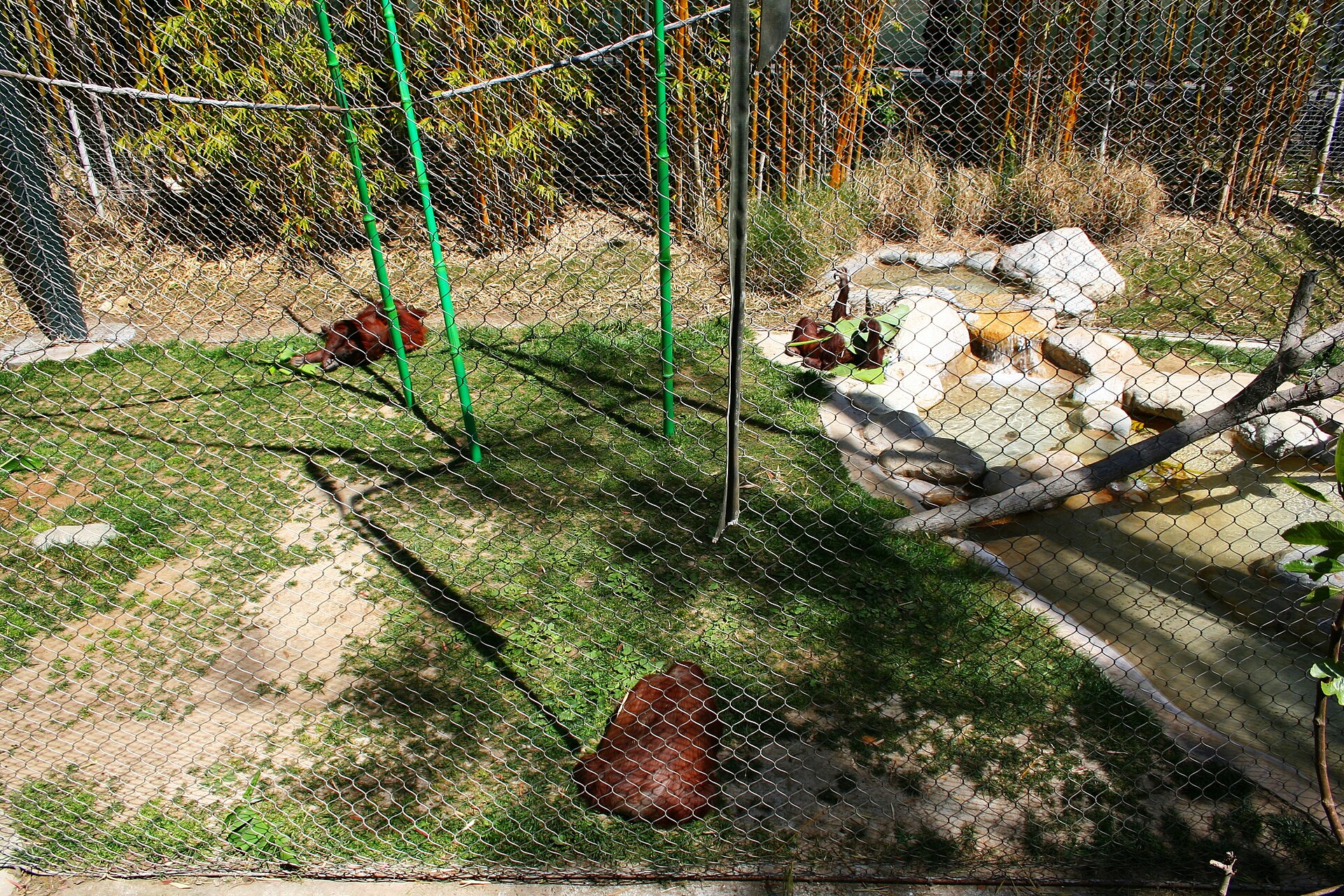 Los Angeles Zoo