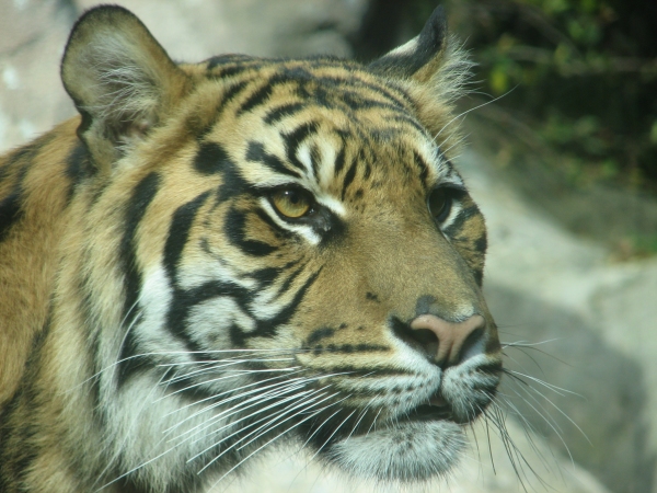 Louisville Zoo