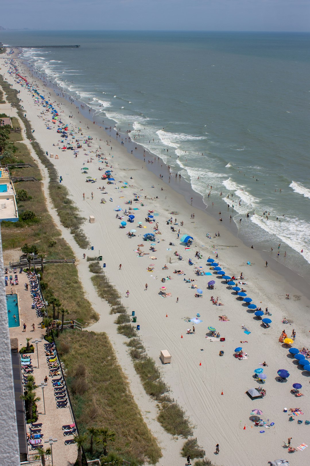 Myrtle Waves