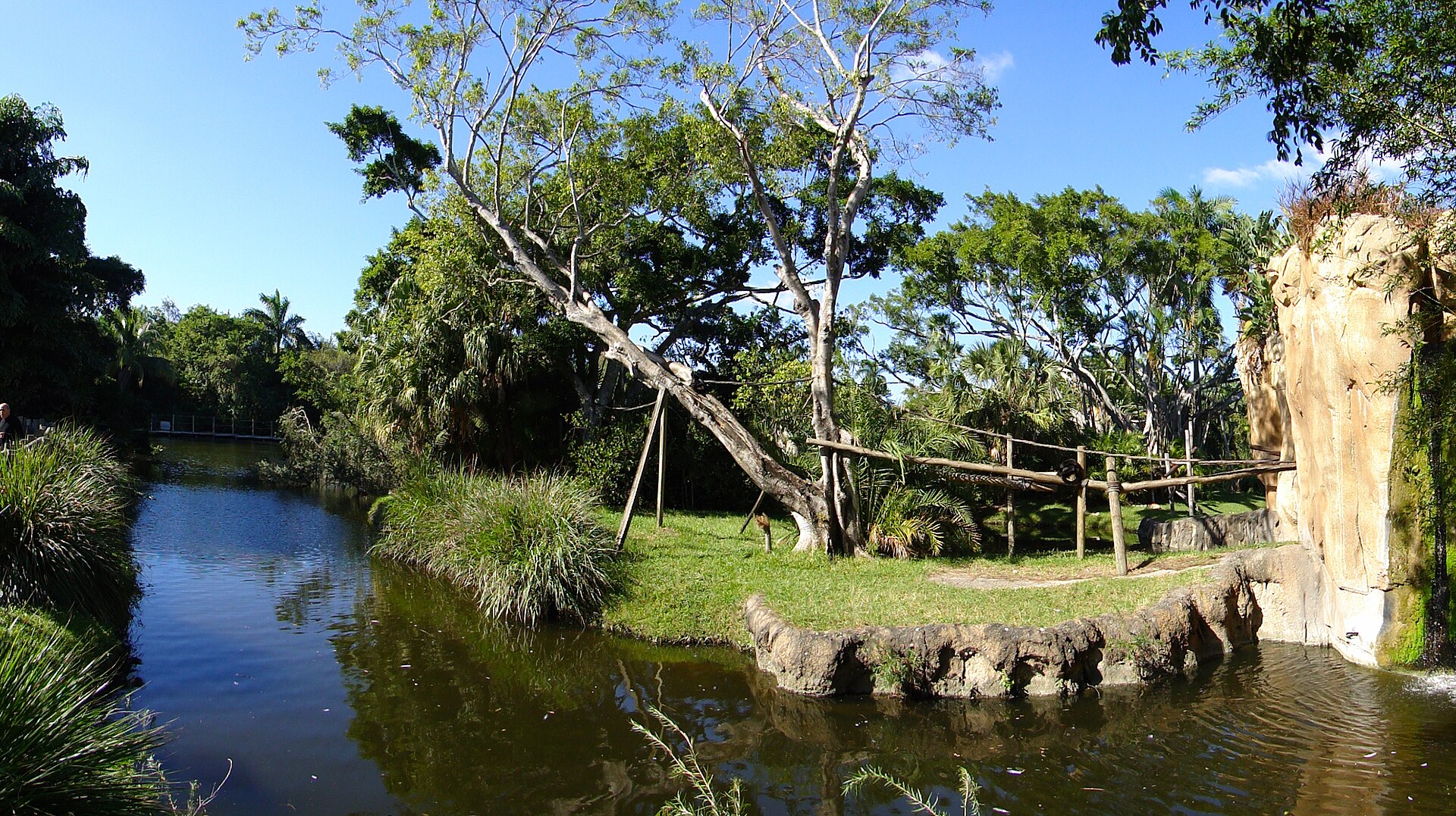 Palm Beach Zoo