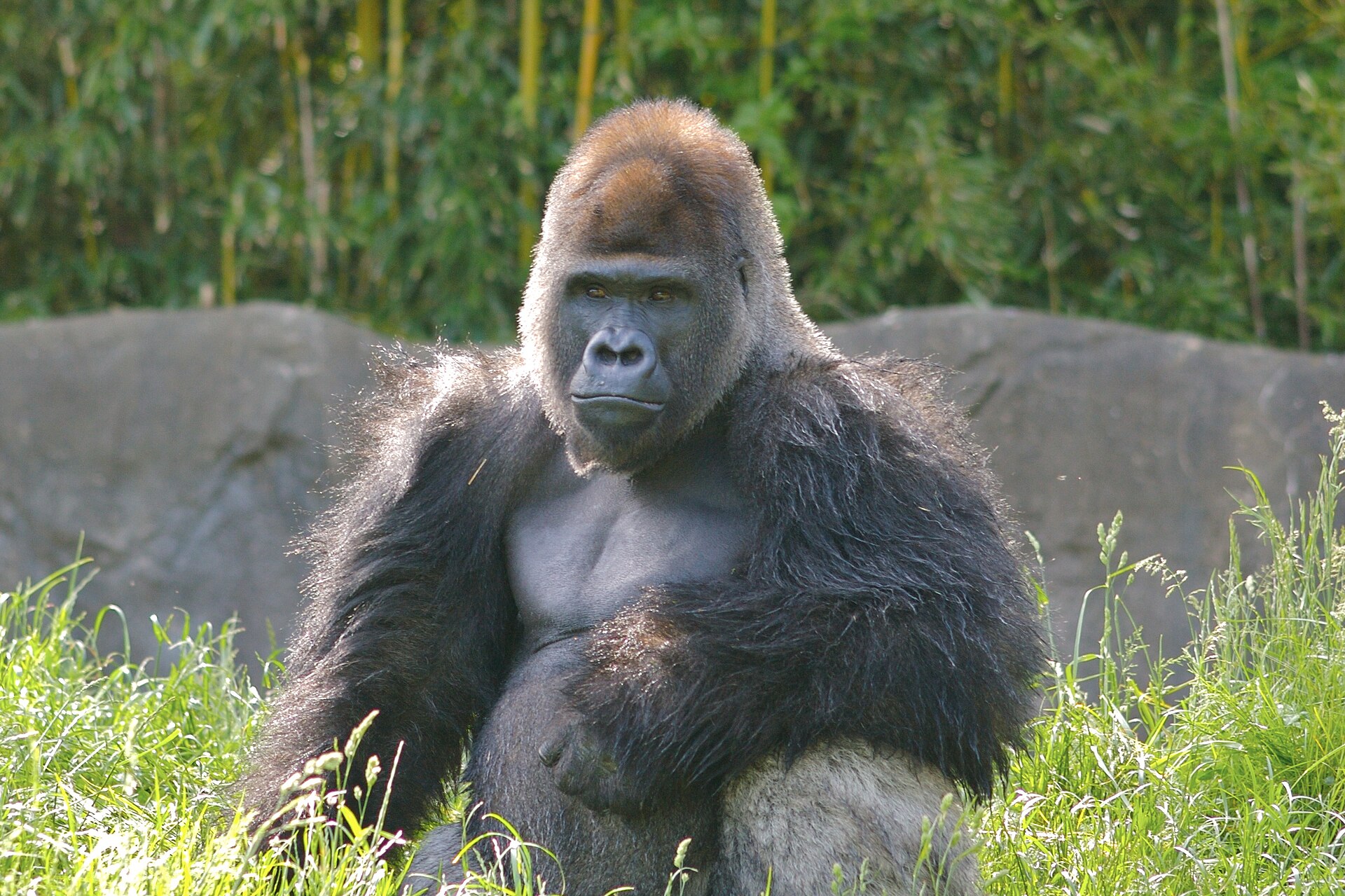 Pittsburgh Zoo & Aquarium