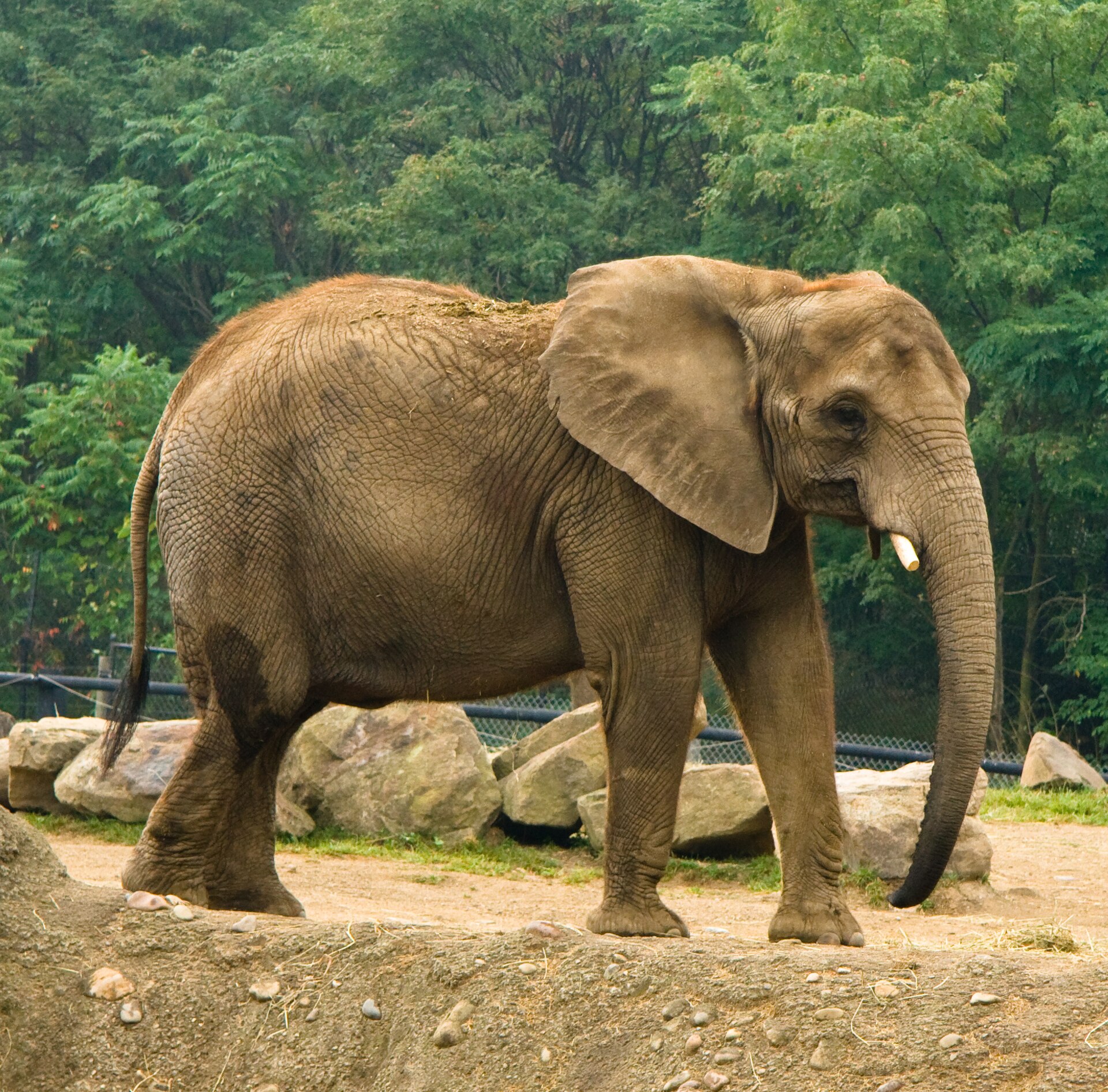 Pittsburgh Zoo & Aquarium
