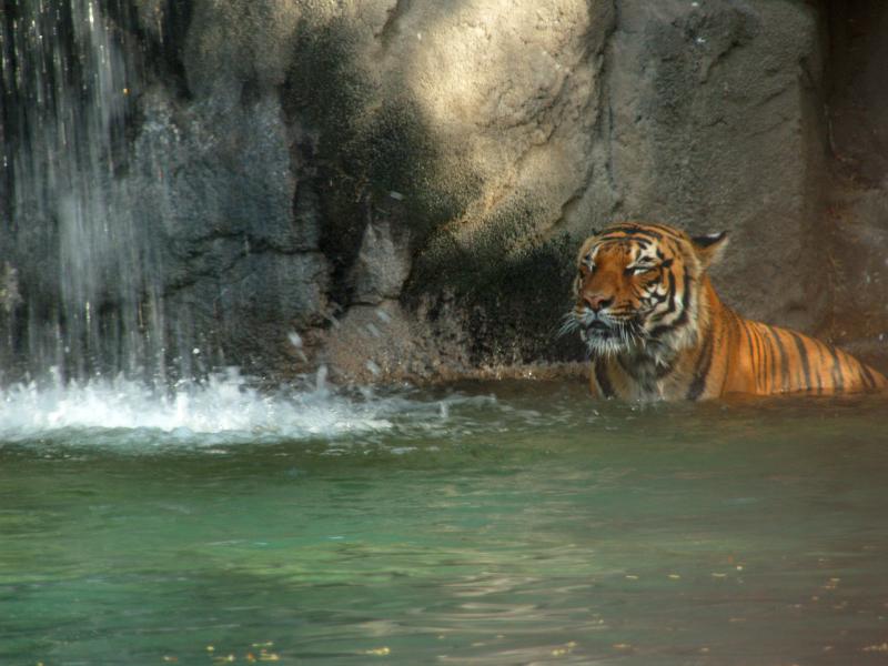 Reid Park Zoo