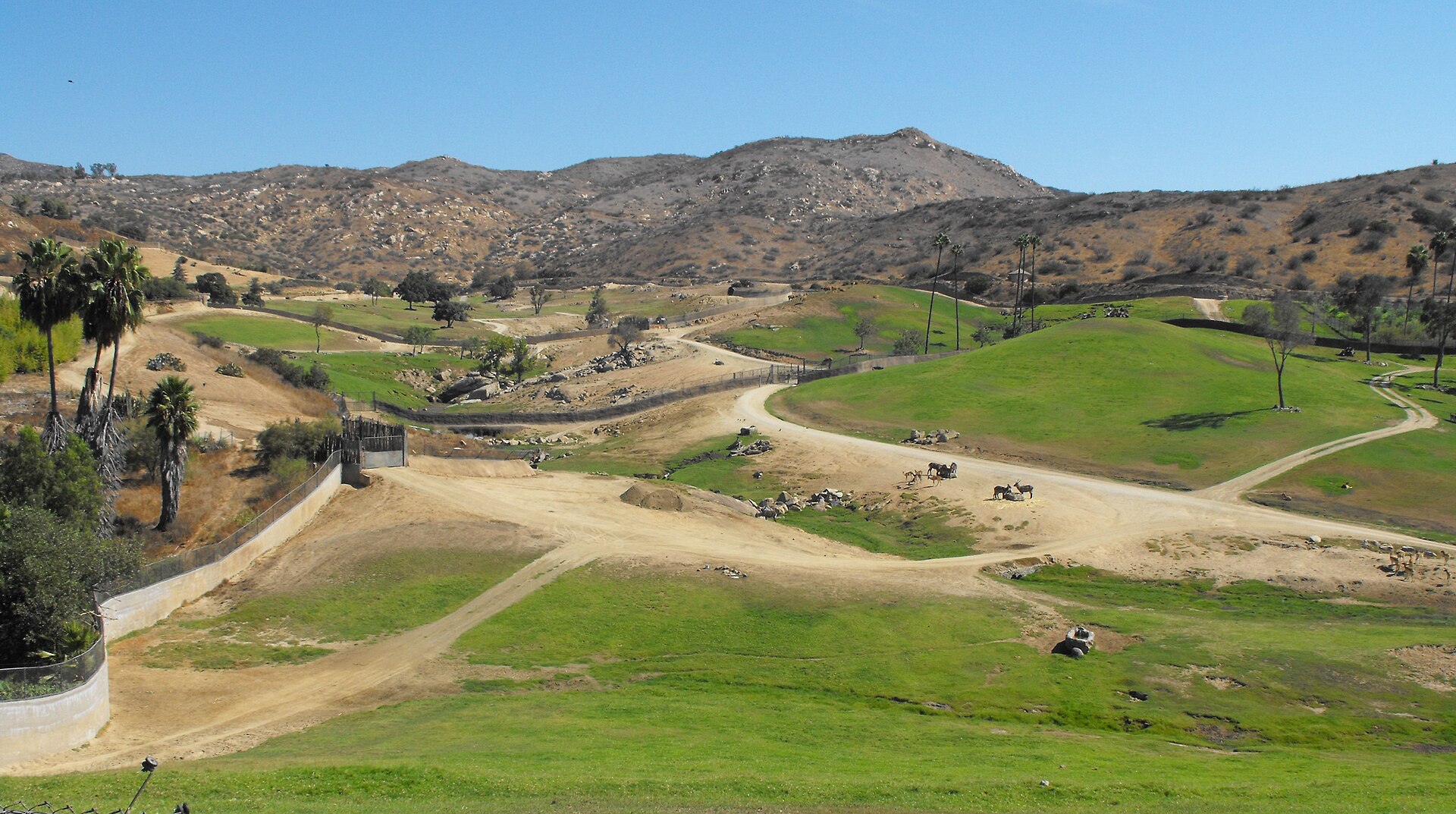 San Diego Zoo Safari Park