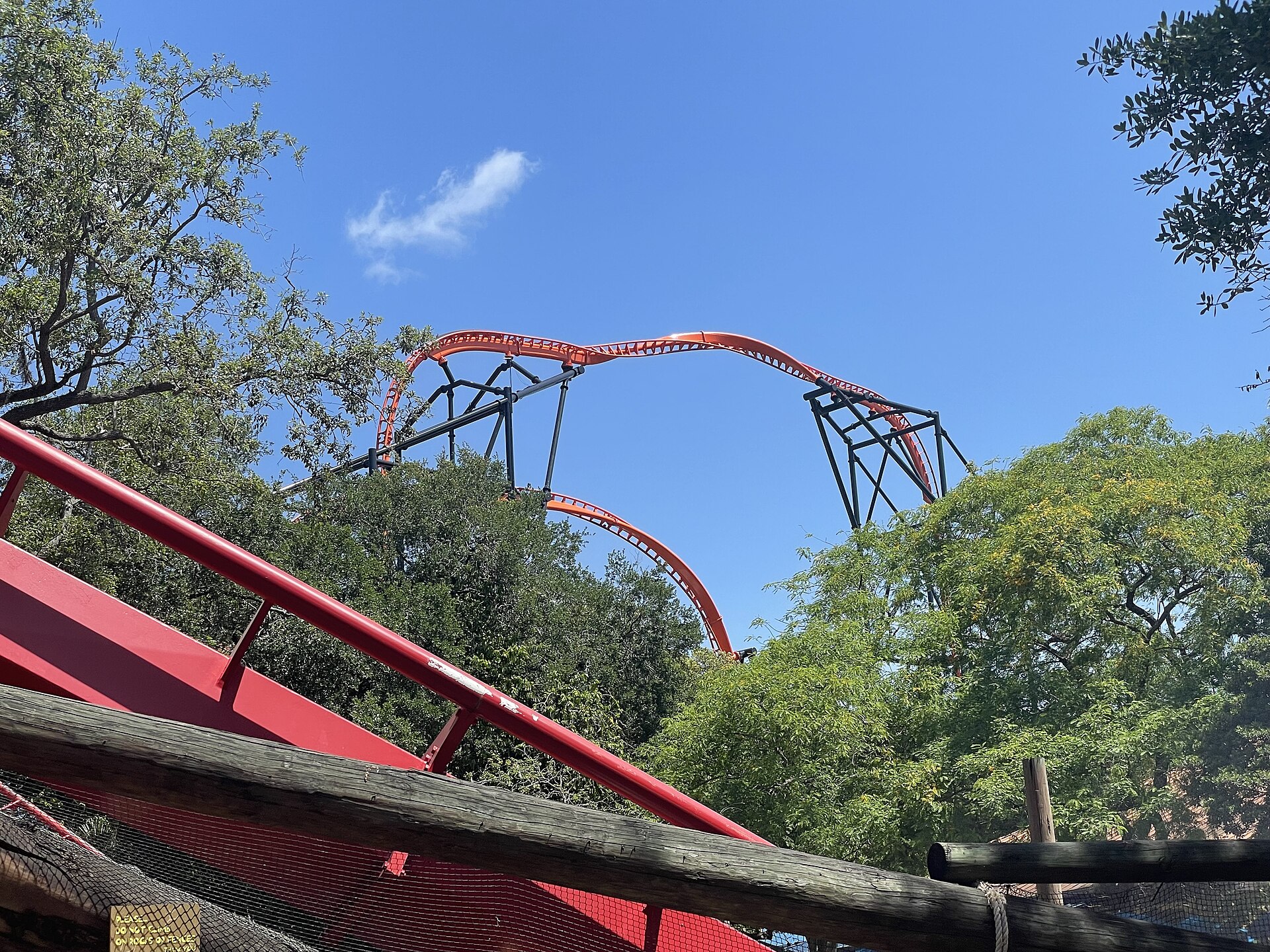 Tigris