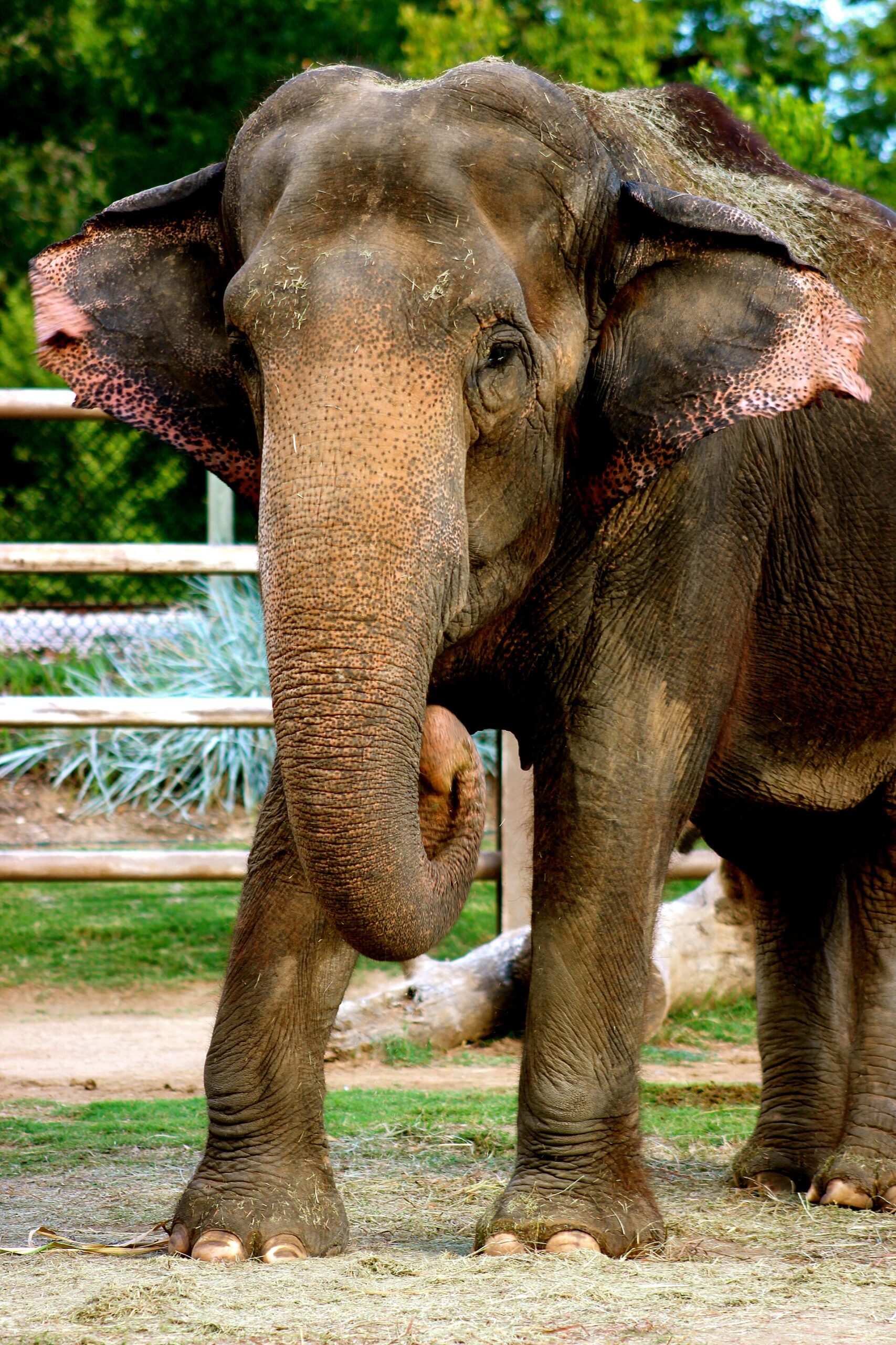 Tulsa Zoo