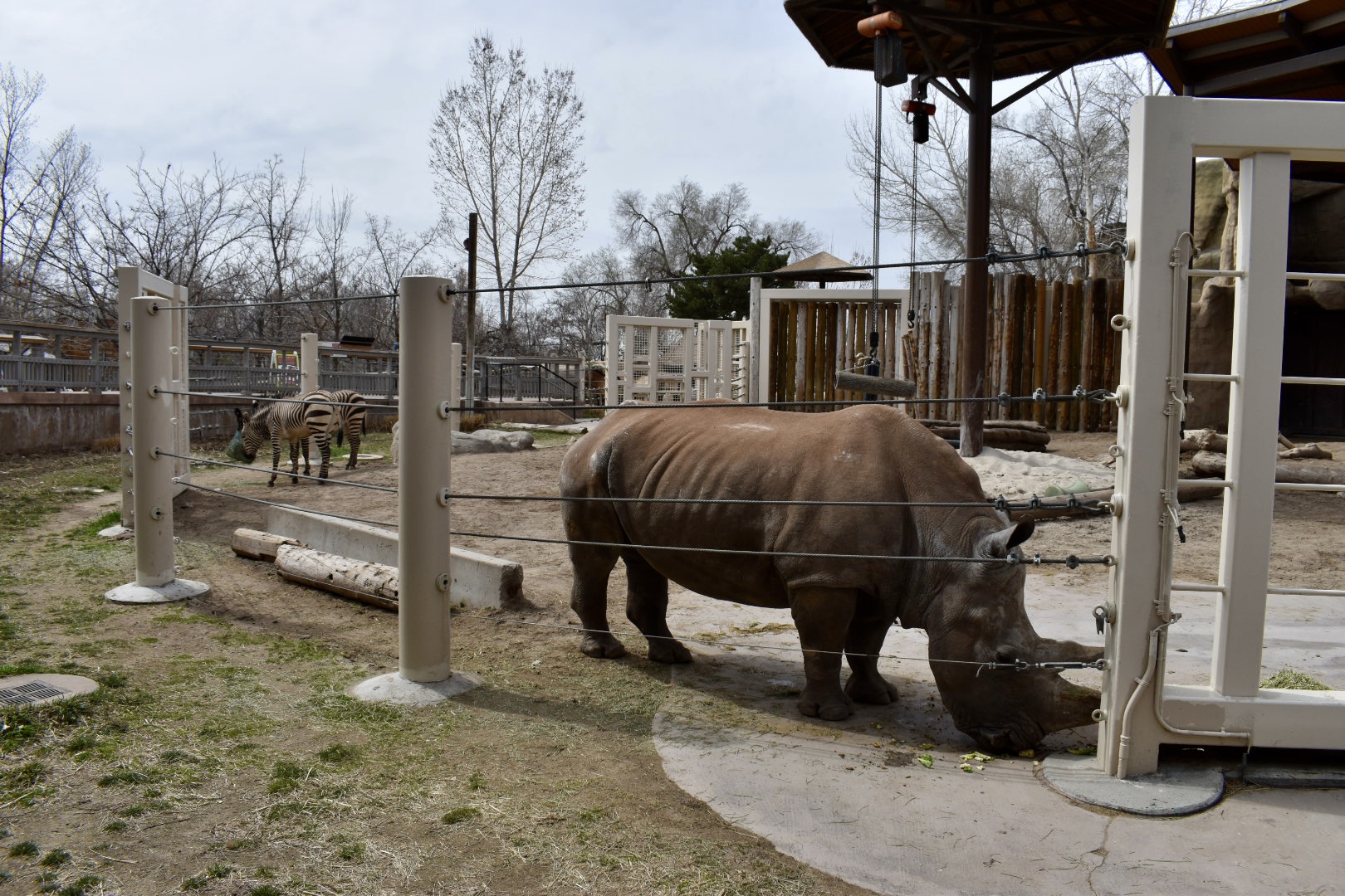 Utah's Hogle Zoo