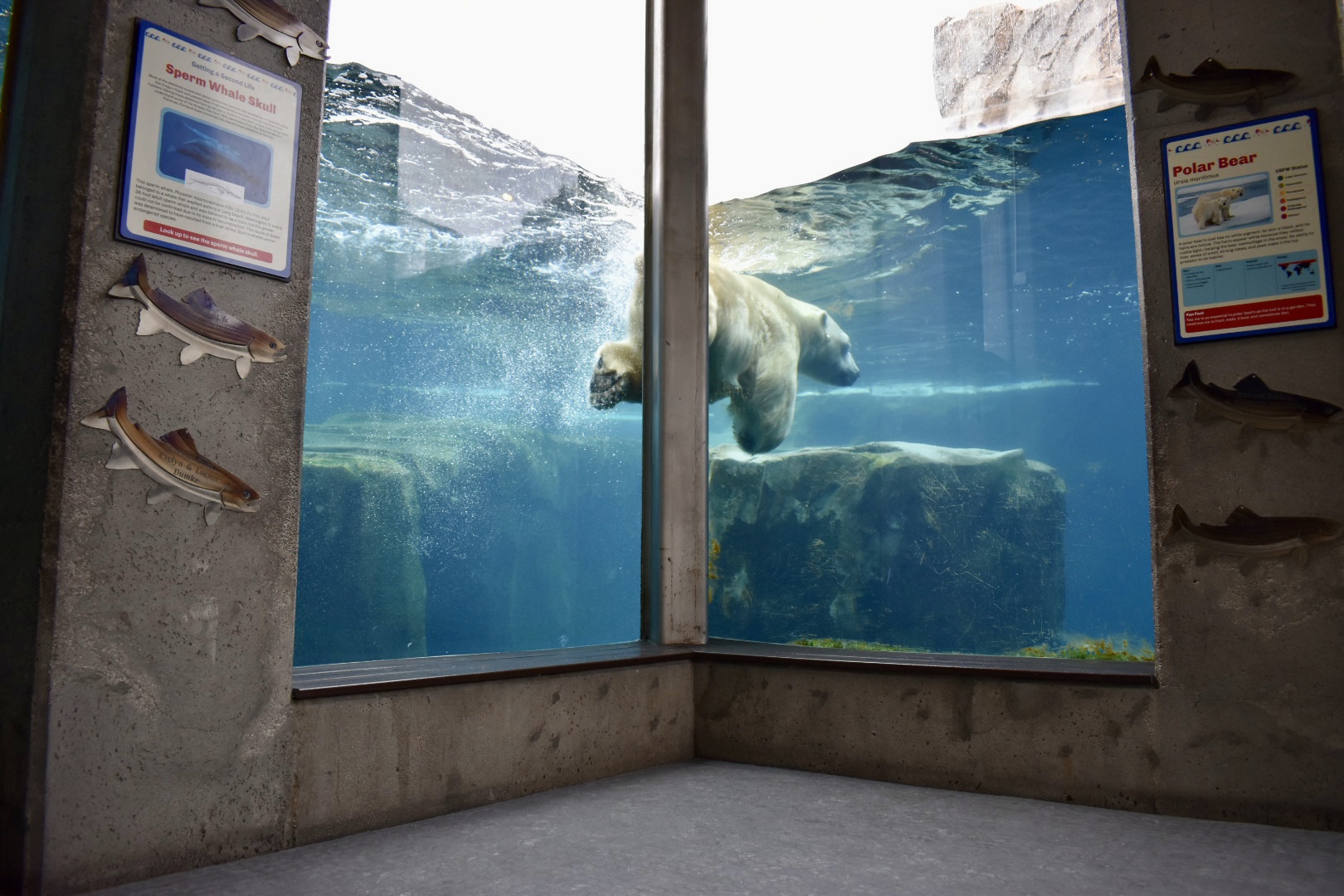 Utah's Hogle Zoo