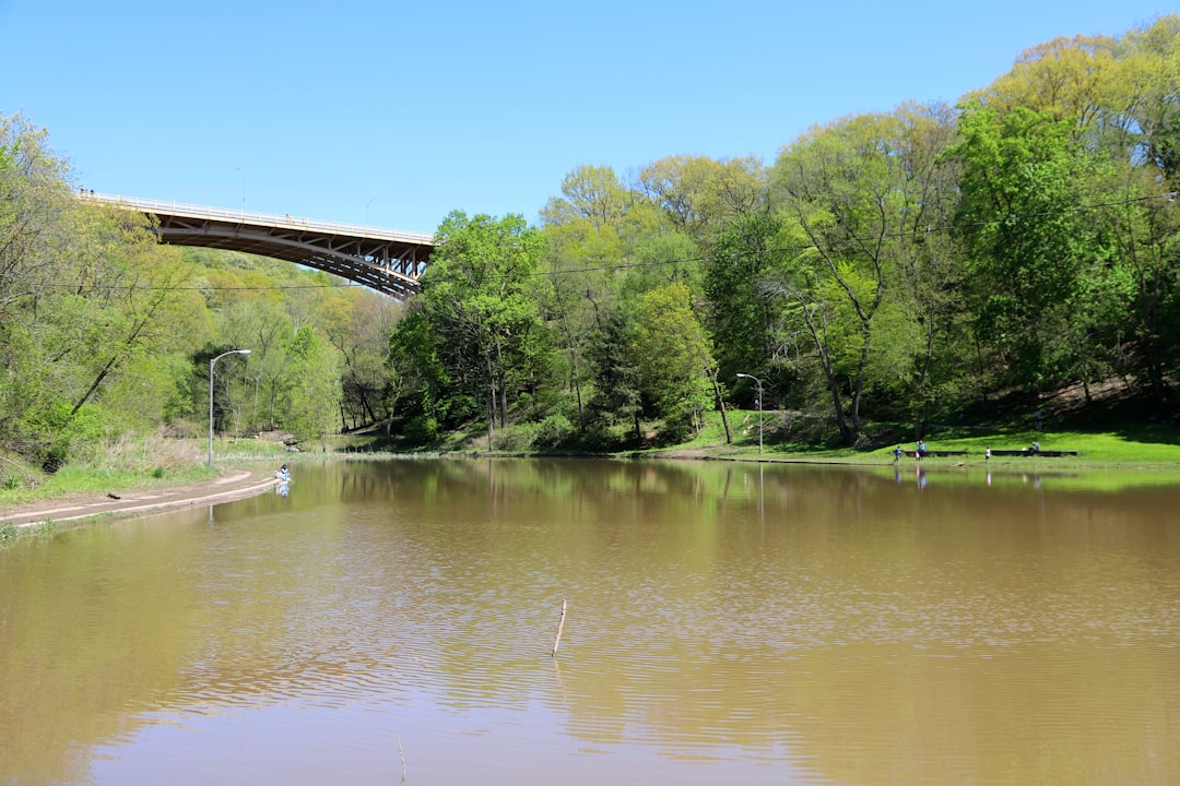 Waldameer Park