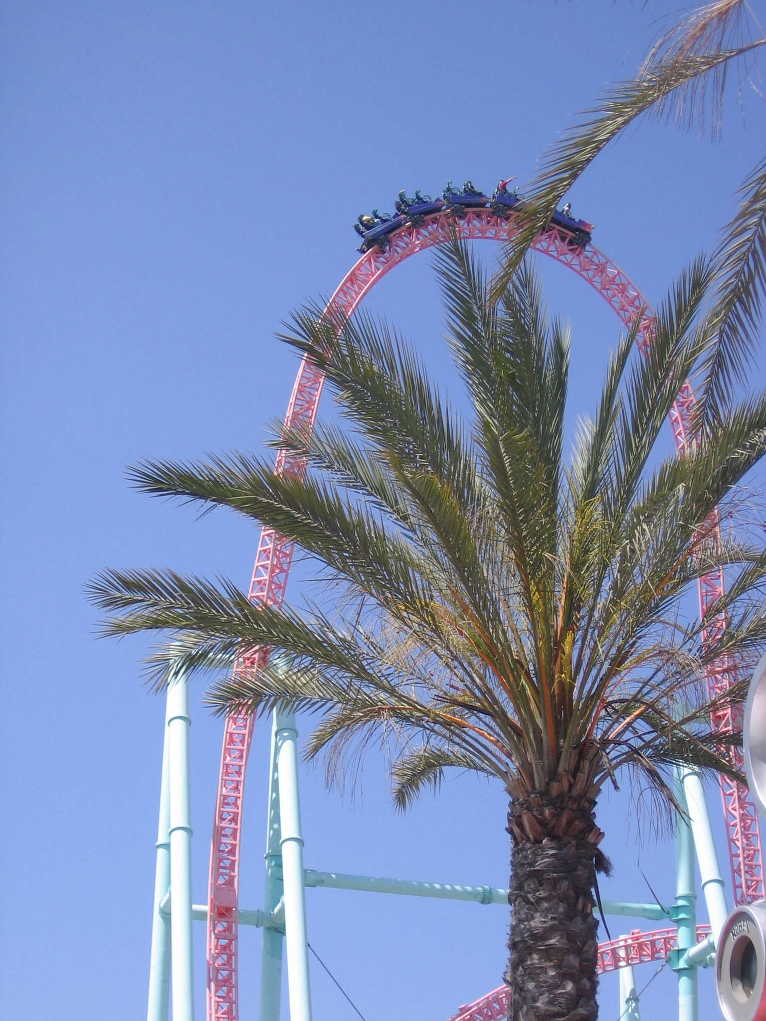 Xcelerator