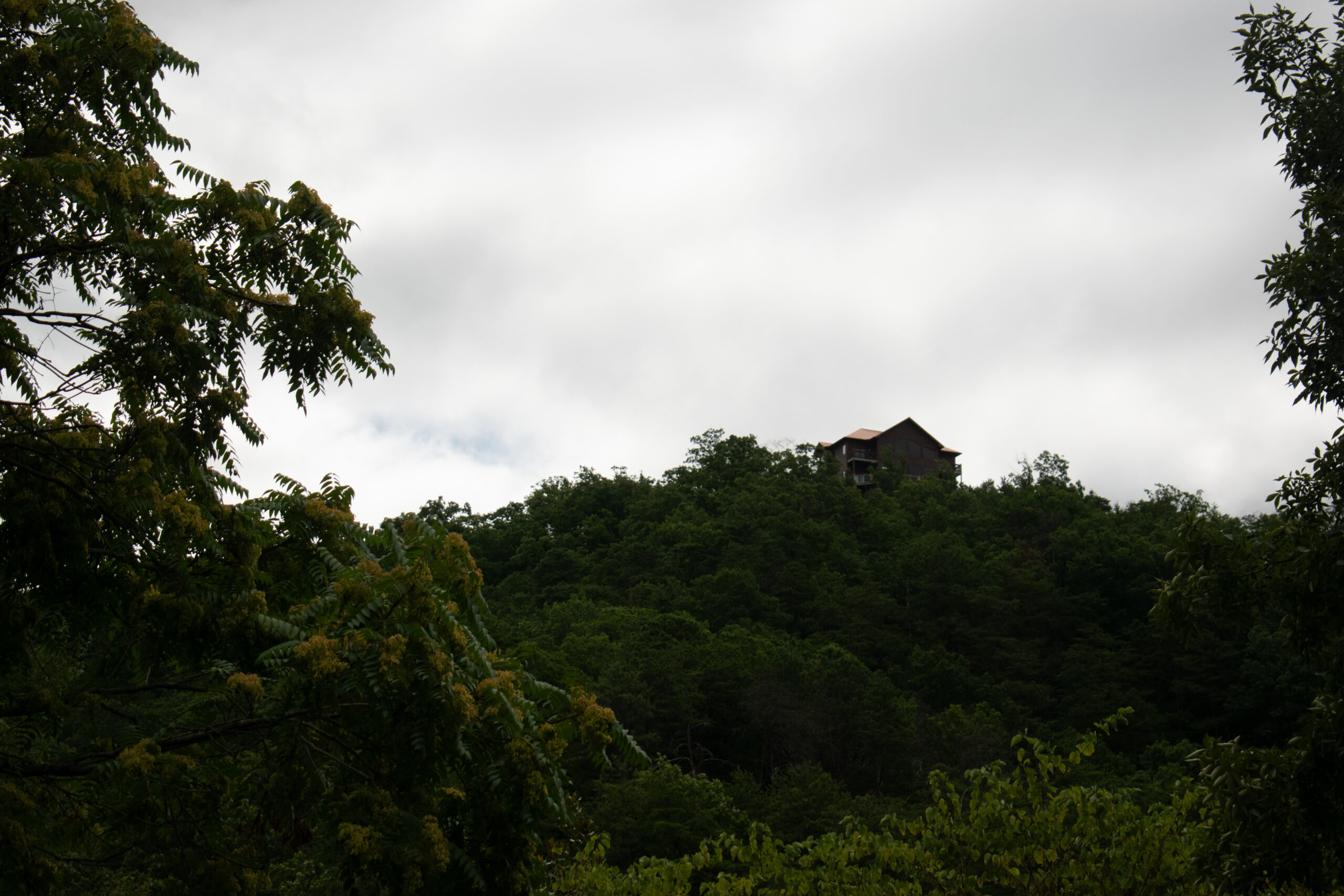 Dollywood