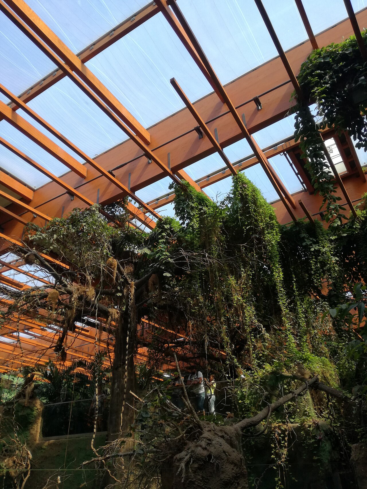 Interior exhibit hall of the Afrykarium at Wrocław Zoo