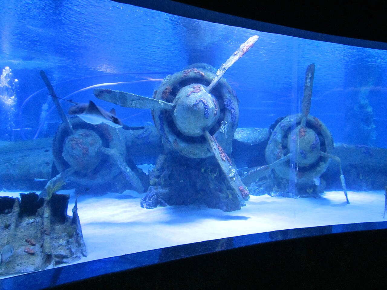 Sunken aircraft wreck decoration inside the main tank of Antalya Aquarium