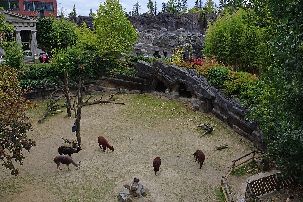 Gardens and enclosures at Antwerp Zoo