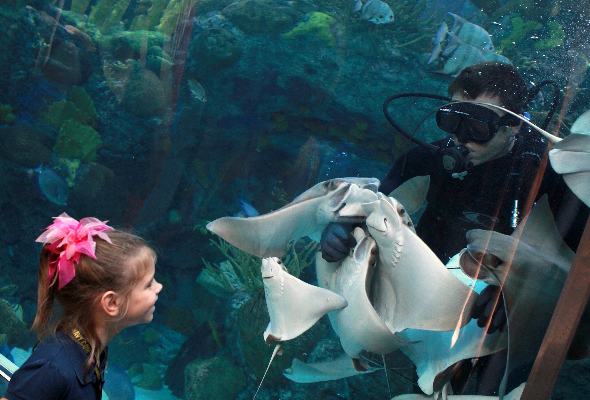 Audubon Aquarium