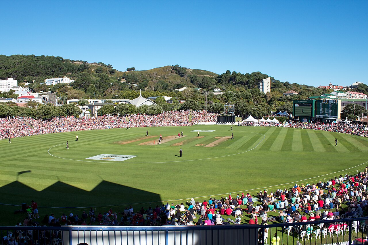 Crowd at the Fill the Basin charity cricket match, Basin Reserve, March 2011