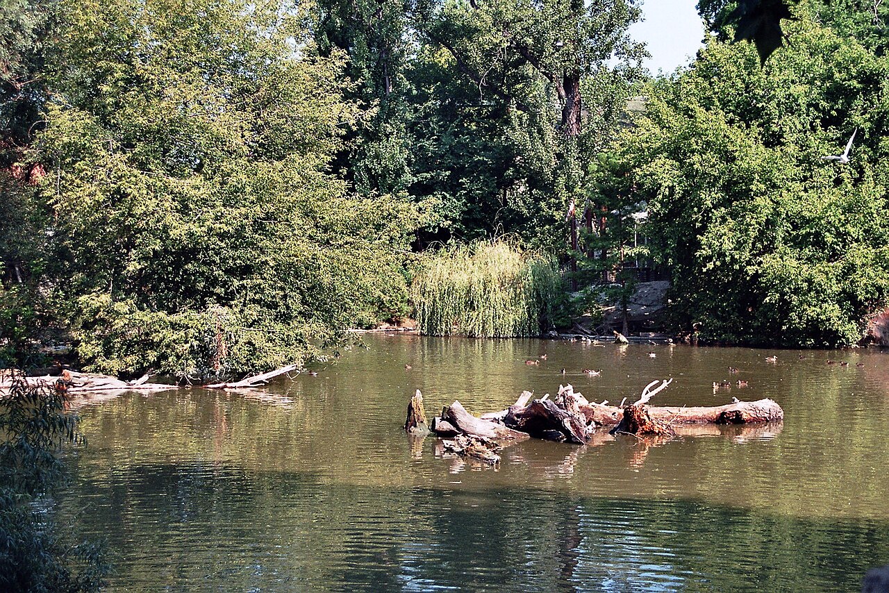 The Great Lake at Budapest Zoo & Botanical Garden
