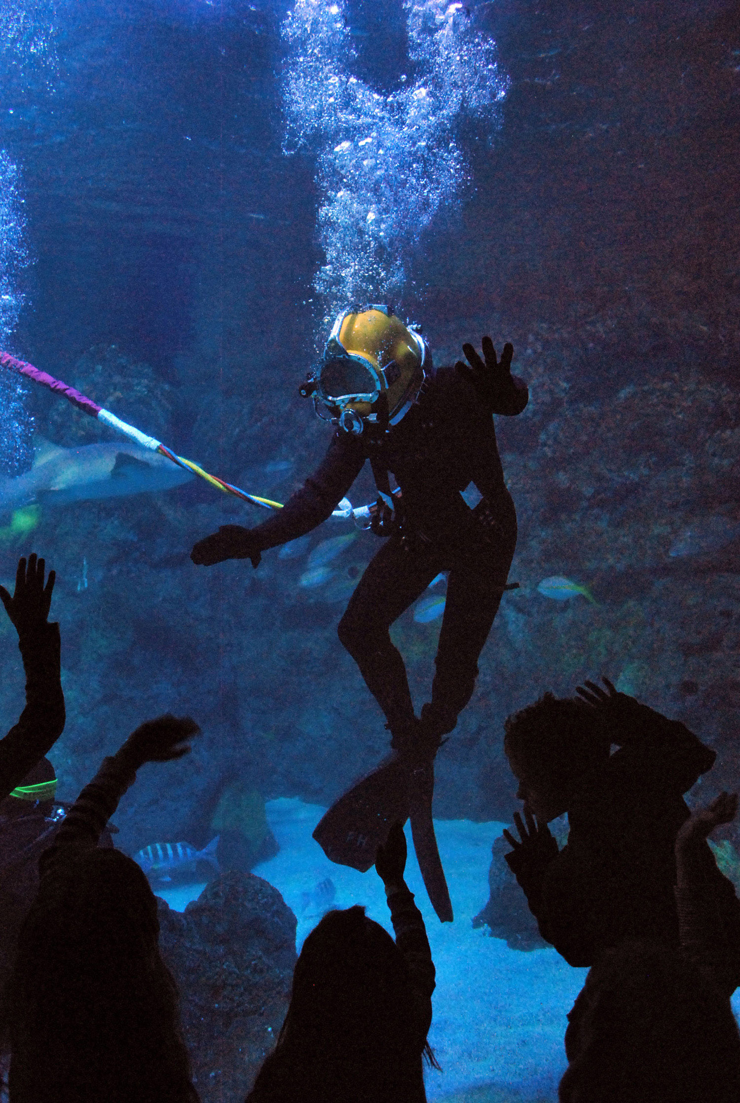 Downtown Aquarium Denver