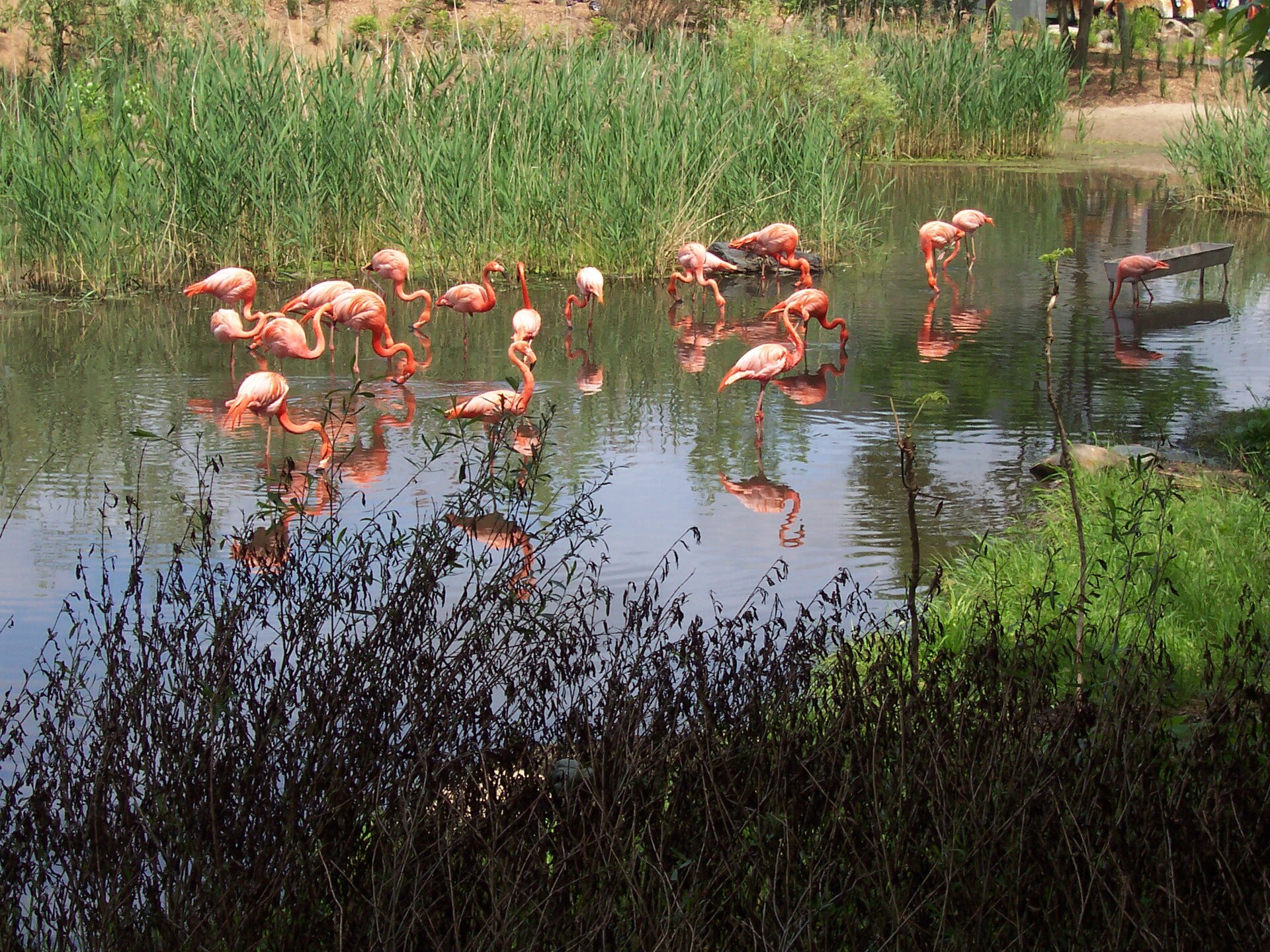 Granby Zoo