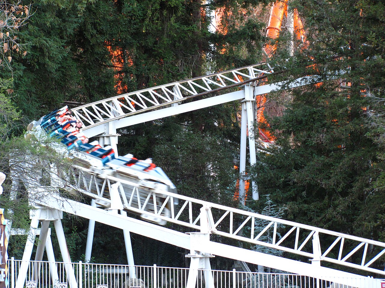The Great American Revolution's train diving down a drop through the trees at Six Flags Magic Mountain