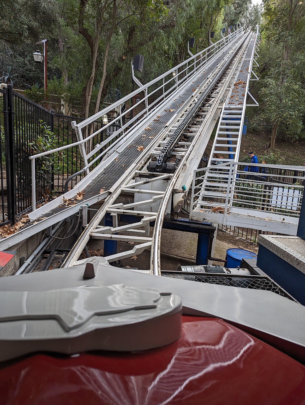 View up the Great American Revolution's chain lift hill climbing through the forest at Six Flags Magic Mountain