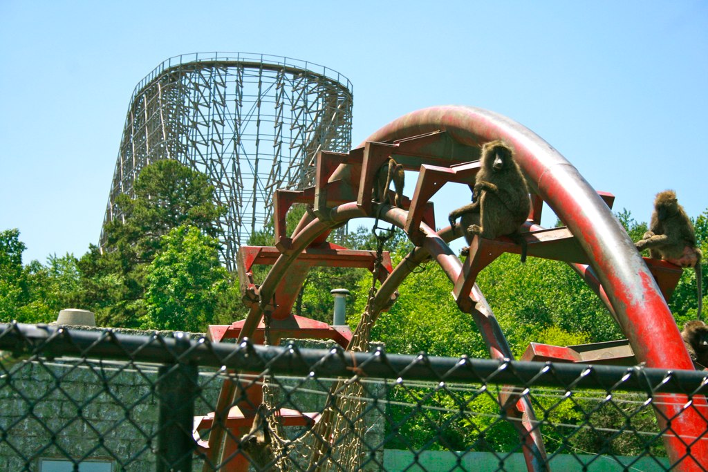 Great American Scream Machine