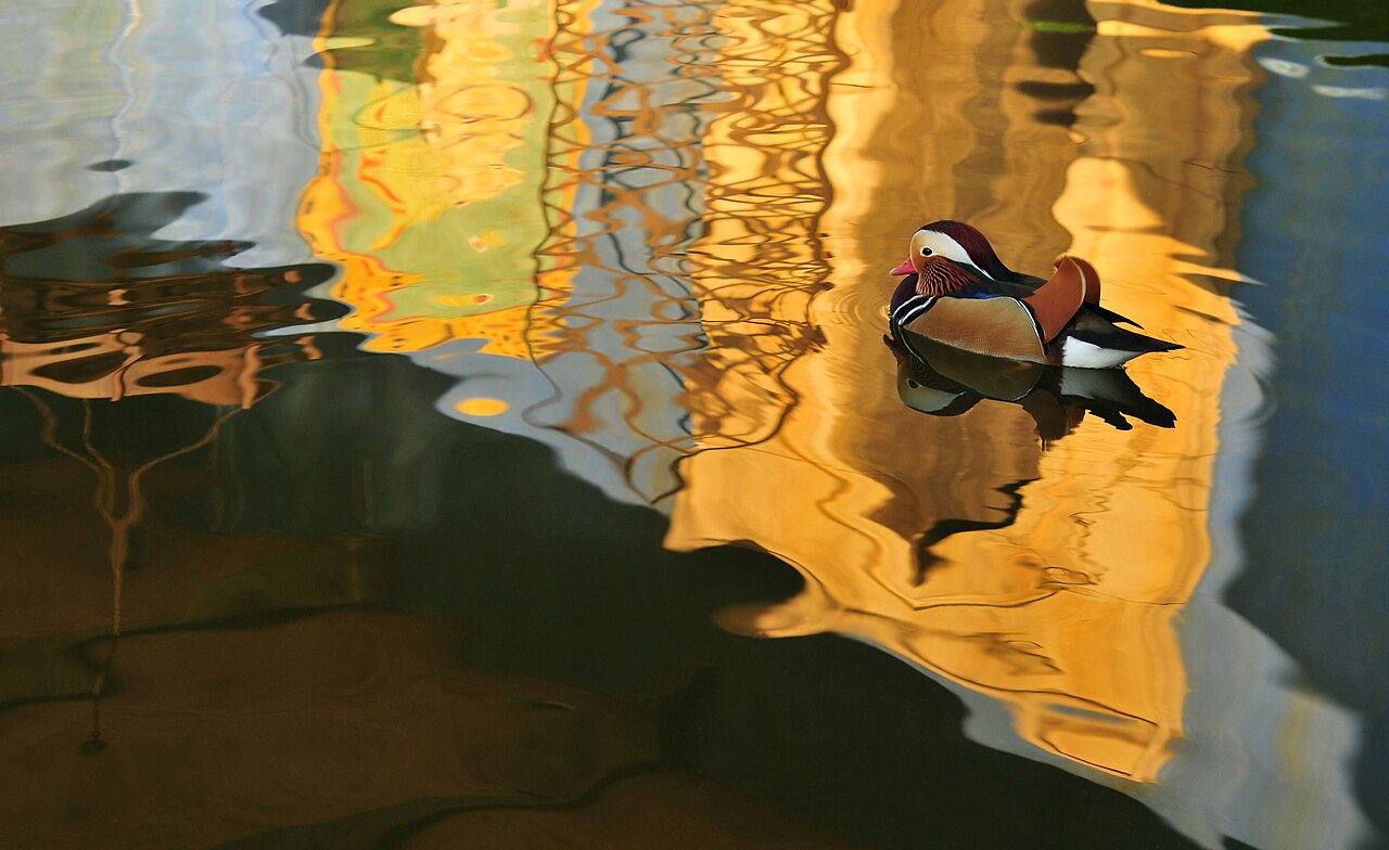 Jungle Palace reflected in the water at Hanover Zoo