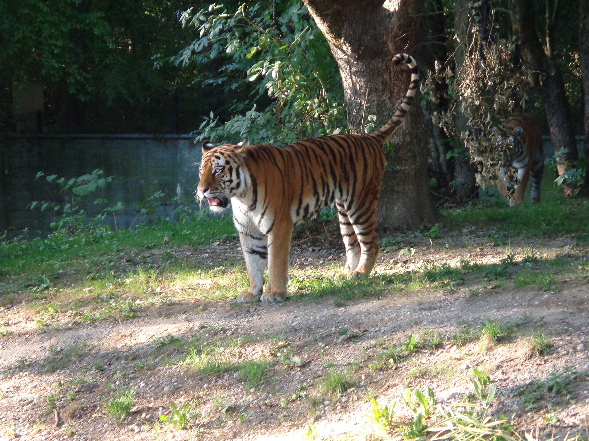 Hellabrunn Zoo