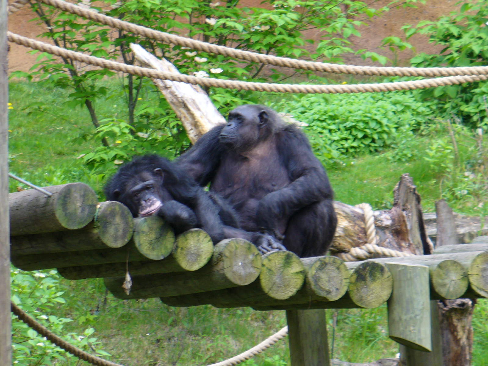 John Ball Zoo
