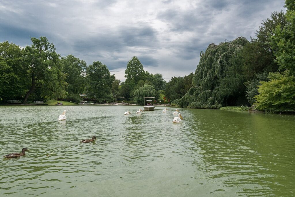 Karlsruhe Zoo and Stadtgarten parkland