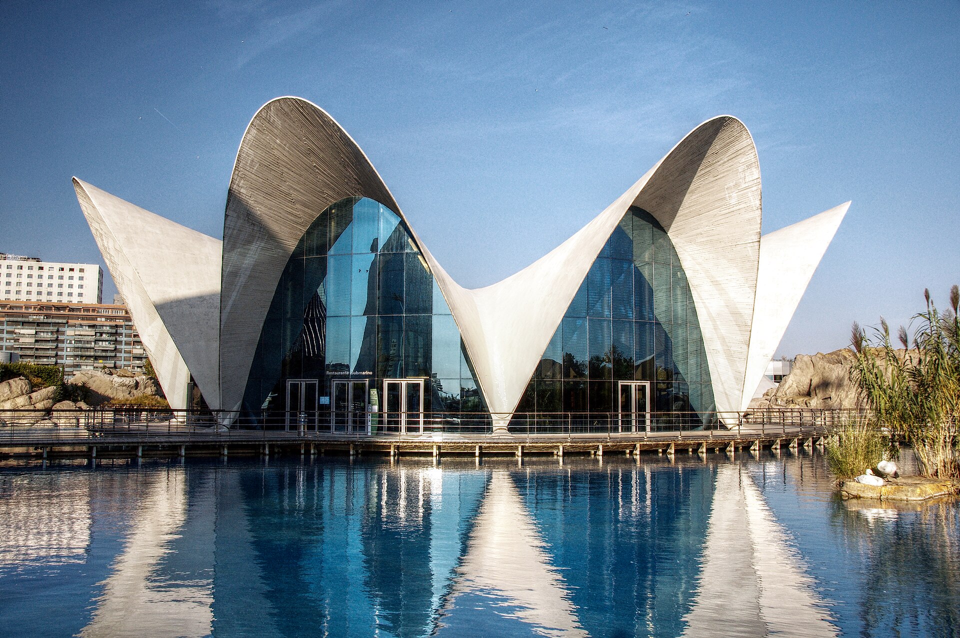 L'Oceanogràfic